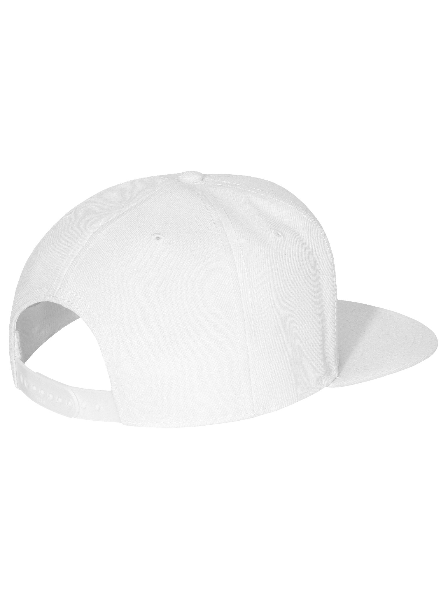 Walk It In Logo Flat Bill Cap product image (12)