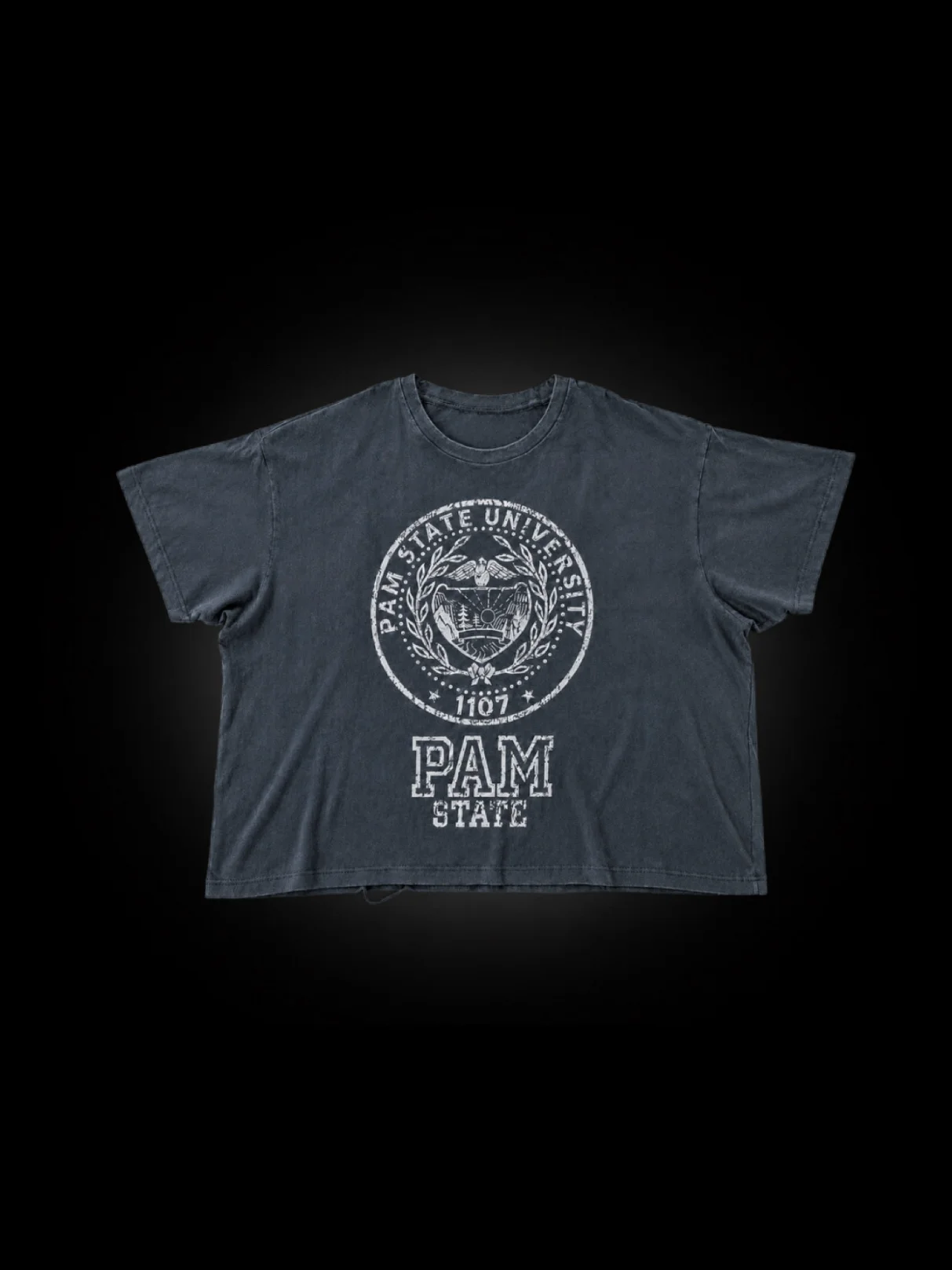 PAM STATE SLUB TEE product image (1)