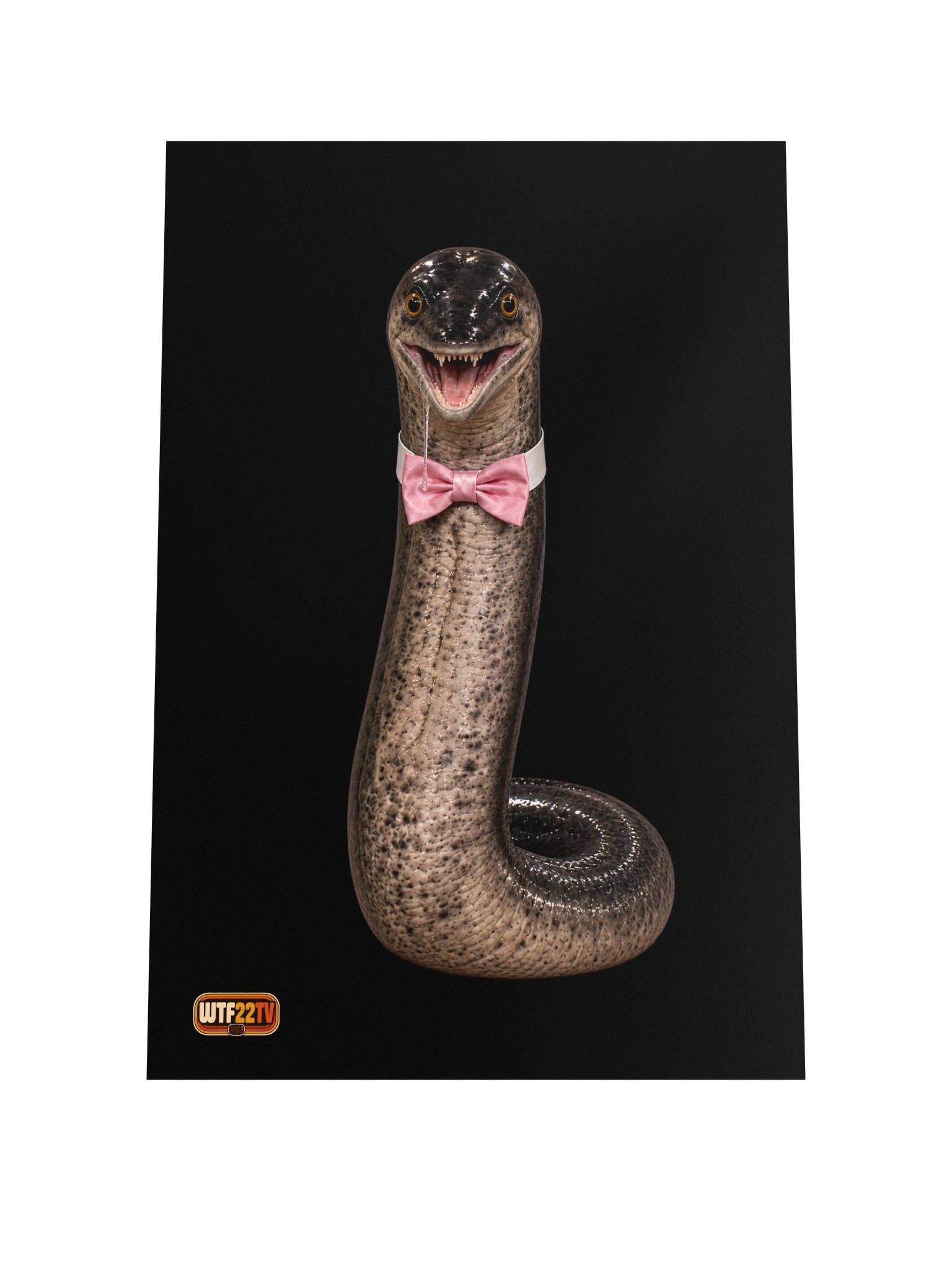 Official_The Eel_Poster ™ product image (1)