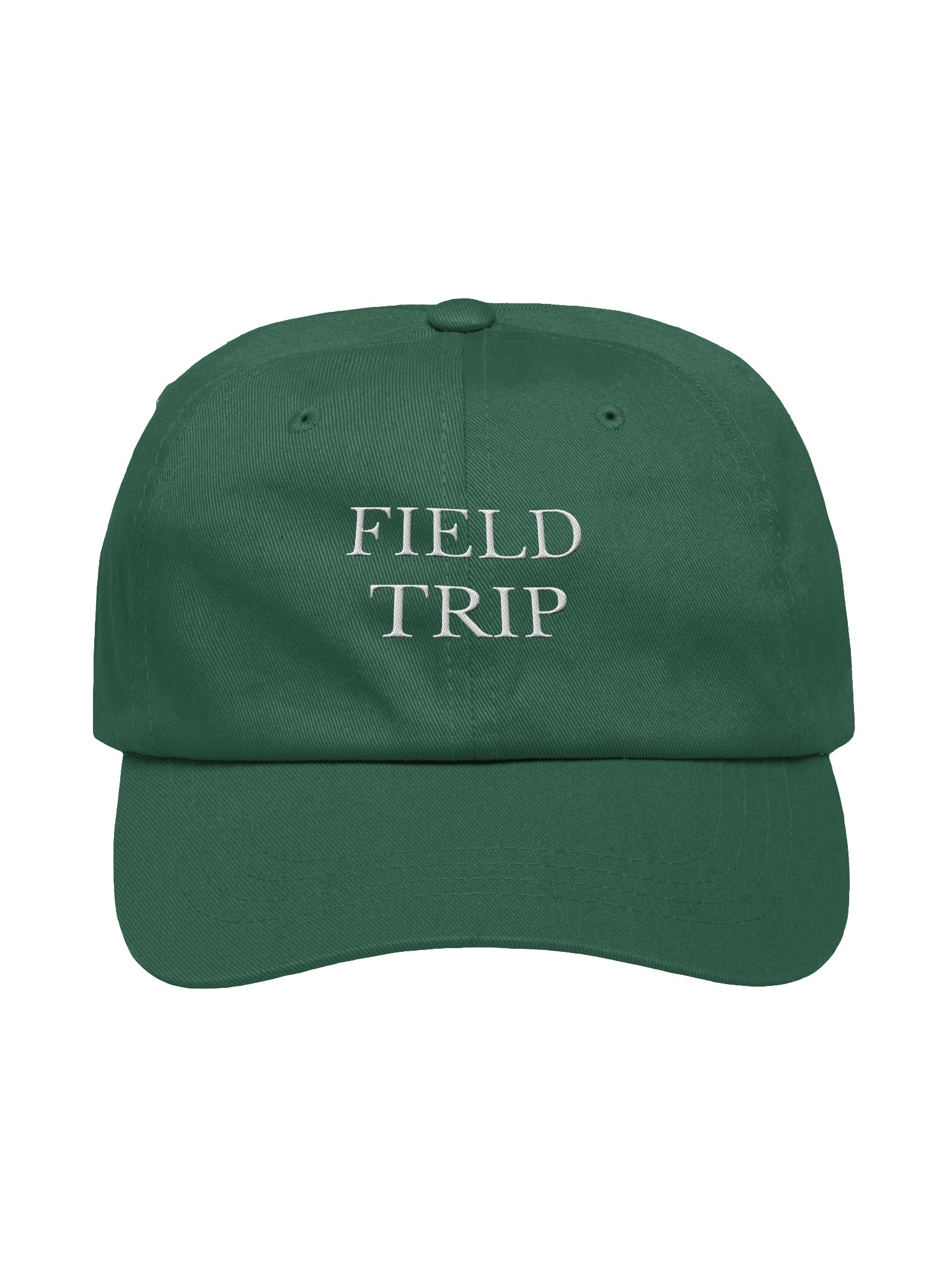 Field Trip logo hat product image (9)