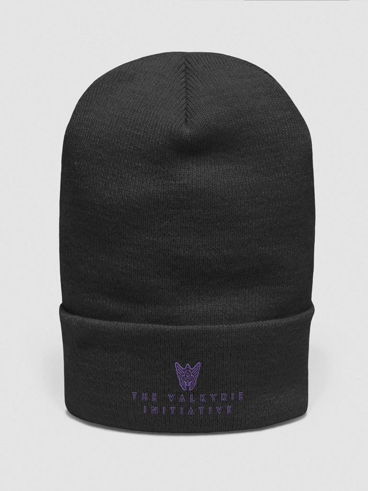 Beanie w/ Purple Logo product image (1)