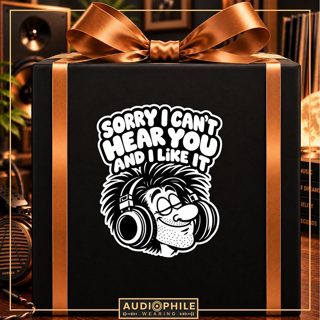 Sorry I Can't Hear You And I Like It