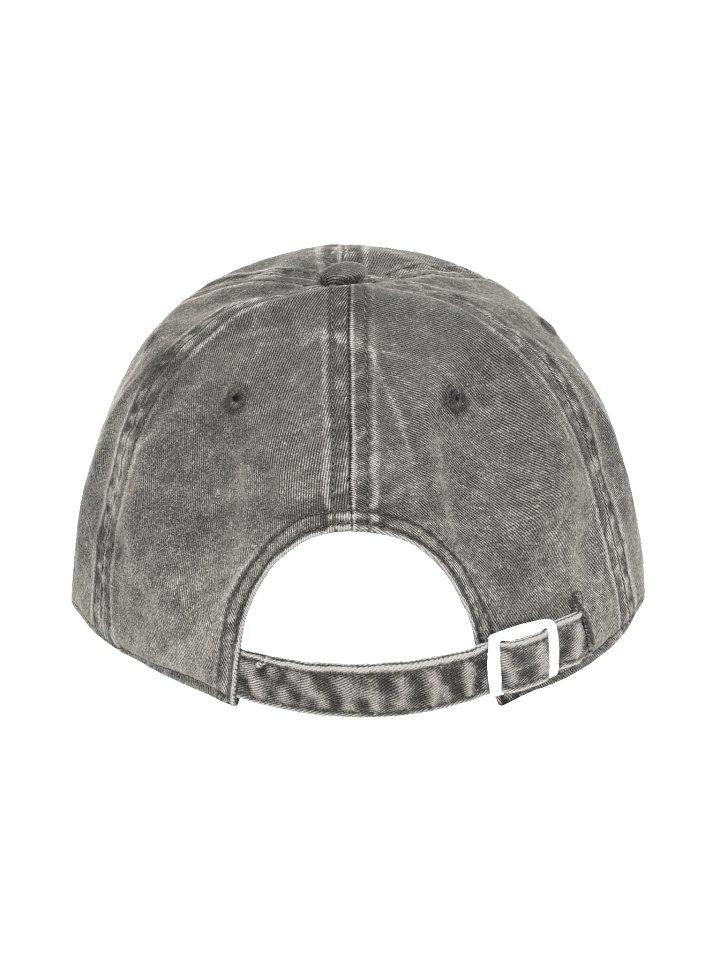 Dear Future Overlords Distressed Hat product image (2)