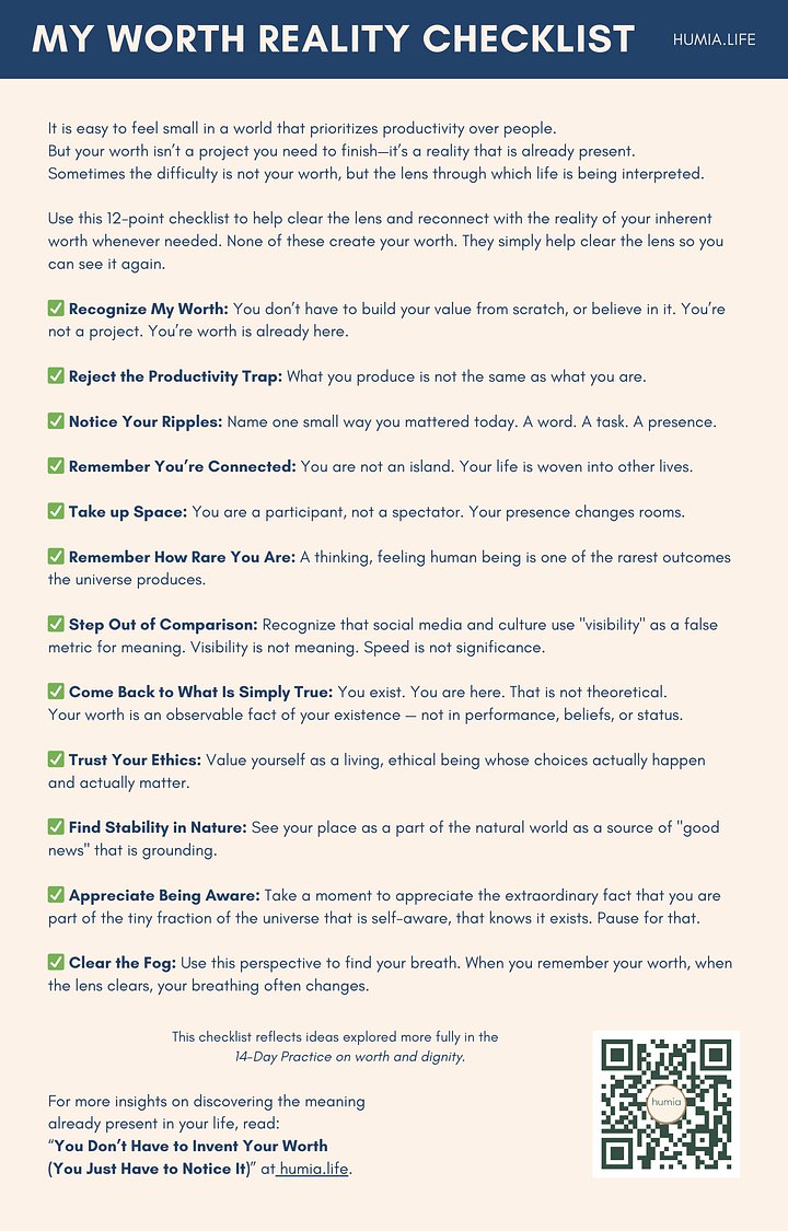 My Worth Reality Checklist product image (1)