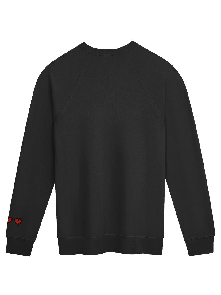 ZDG 26 Pink & Blue Sweatshirt product image (2)