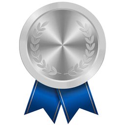Silver Subscriber
