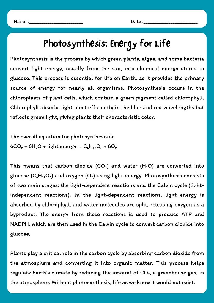 Photosynthesis Reading Comprehension Passage with Questions (PDF Download) product image (1)