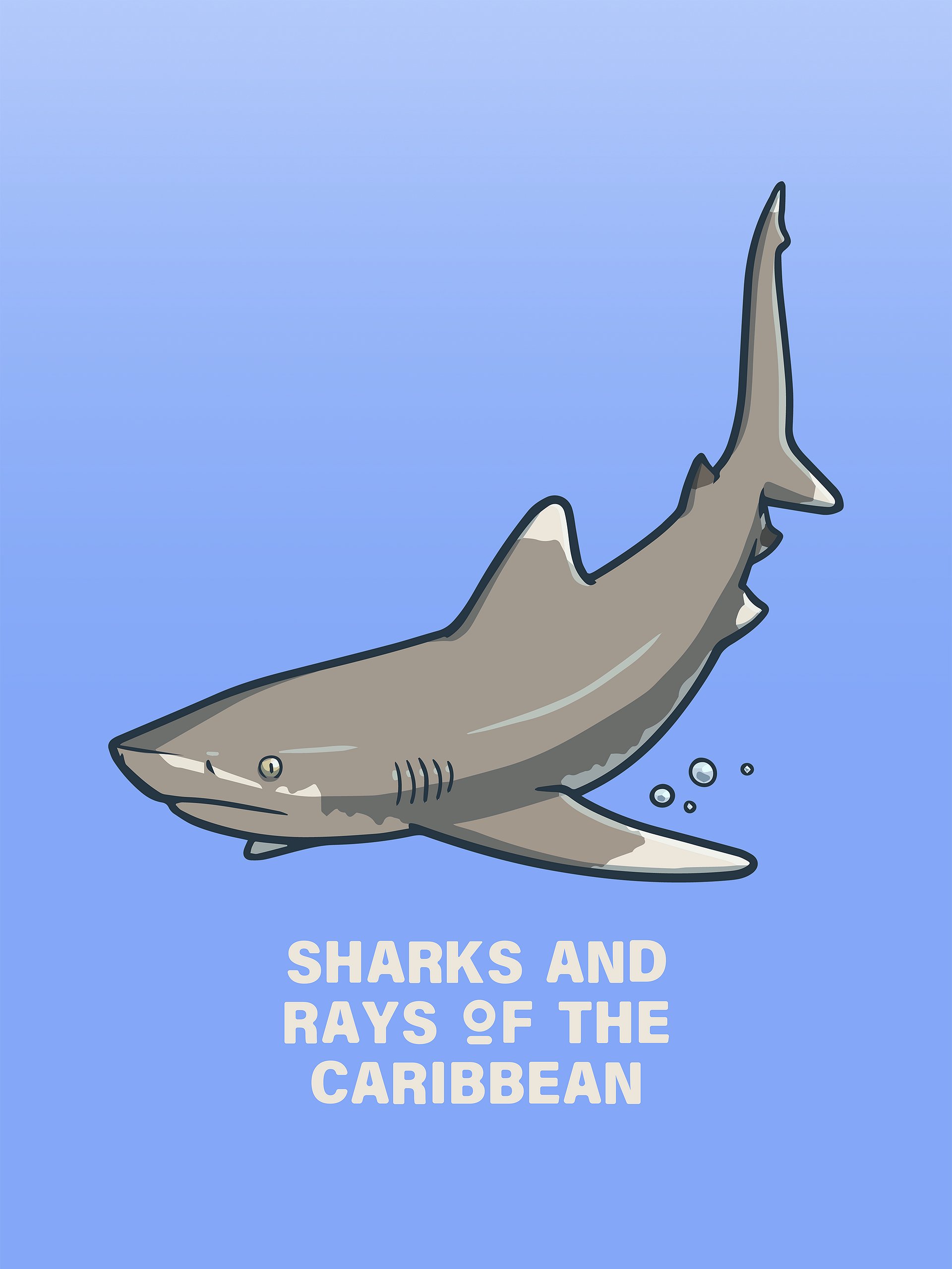 Sharks and Rays of the Caribbean - Icon Pack product image (2)