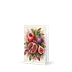 Watercolor Pomegranate &amp; Fig Greeting Card