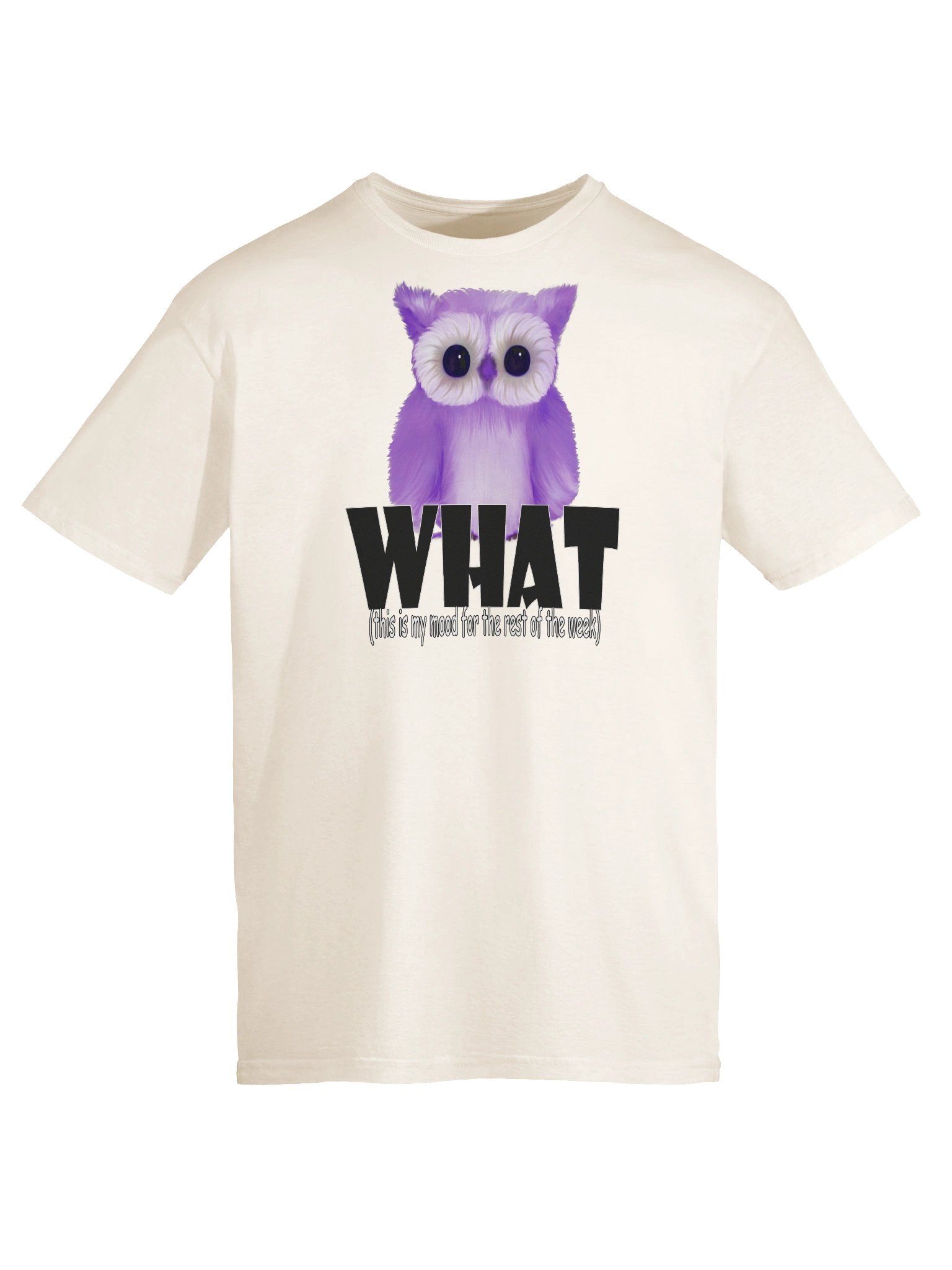 Unisex Gildan Softstyle T-Shirt product image (3)