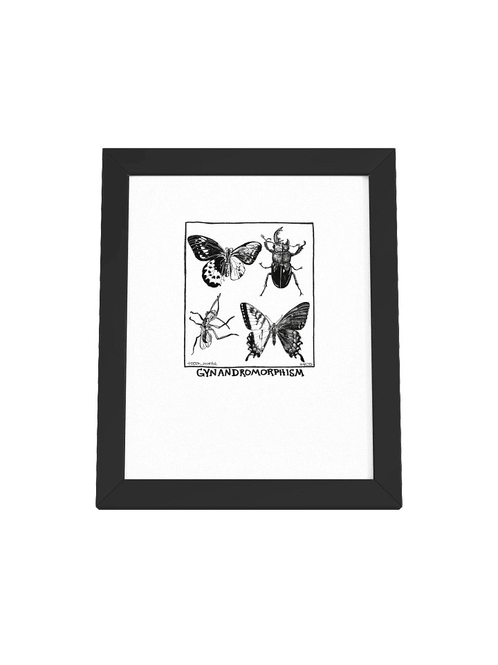 FRAMED GYNANDROMORPHISM PRINT product image (2)
