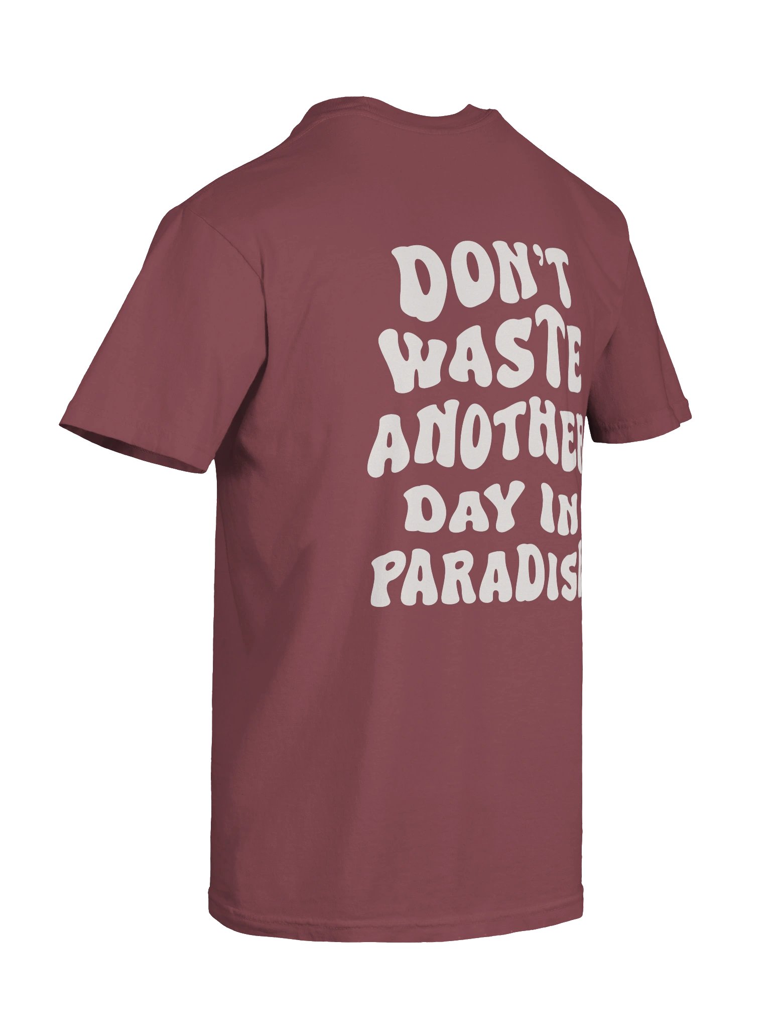 Paradise Washed Tee Brick / Moss / Espresso product image (12)