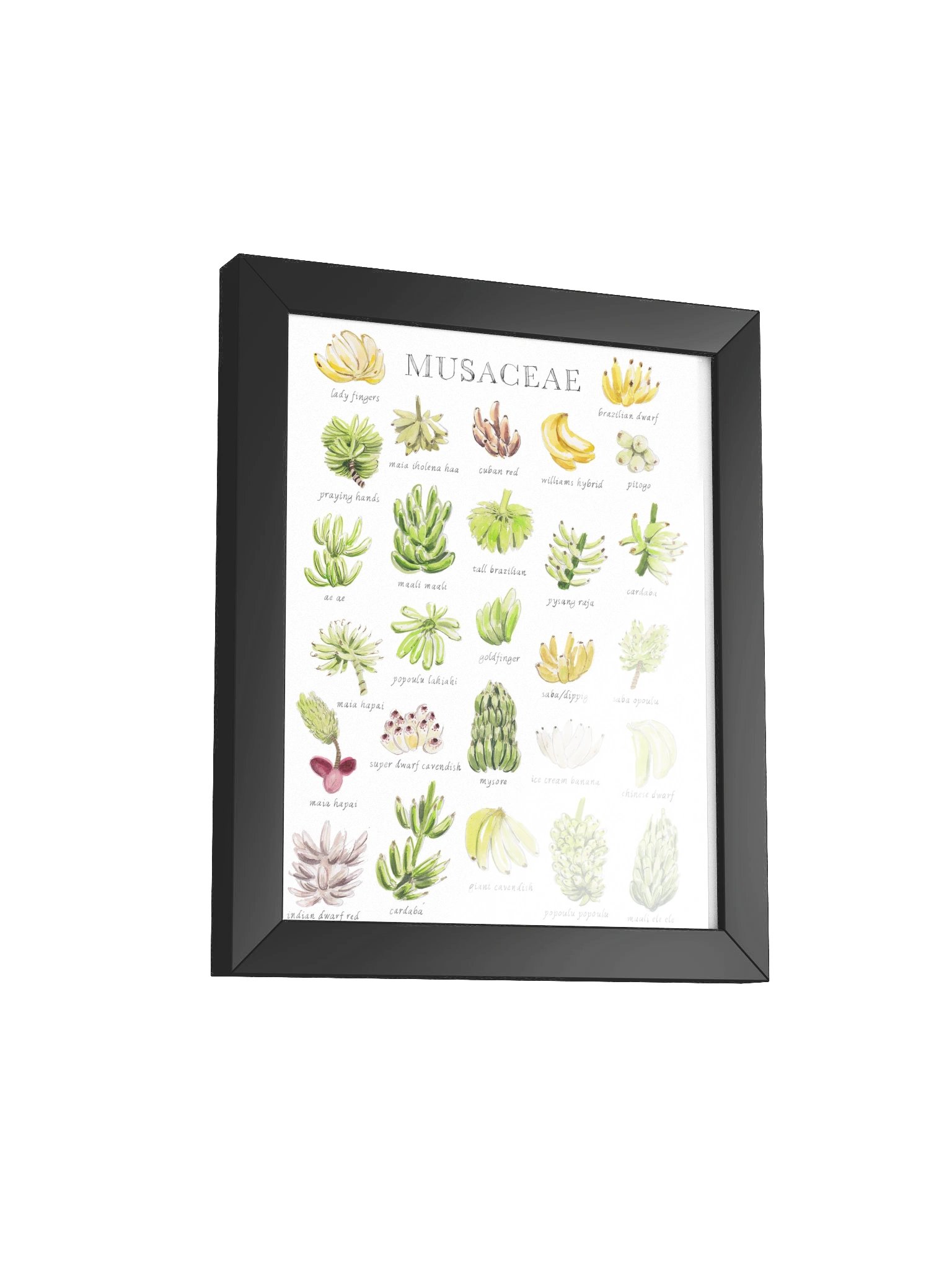 bananas product image (24)