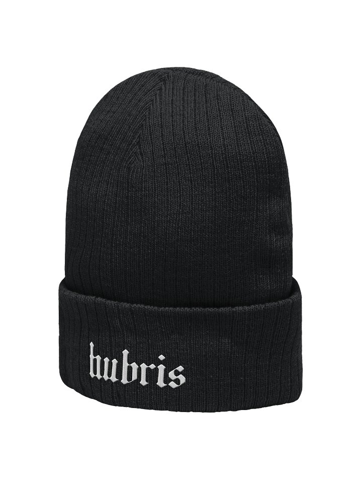 hubris beanie product image (2)