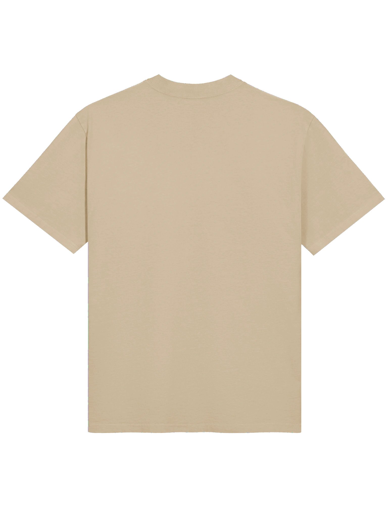 SIGNATURE Line Trusty Triceratops Watercolour Premium Oversized Faded T-Shirt product image (16)
