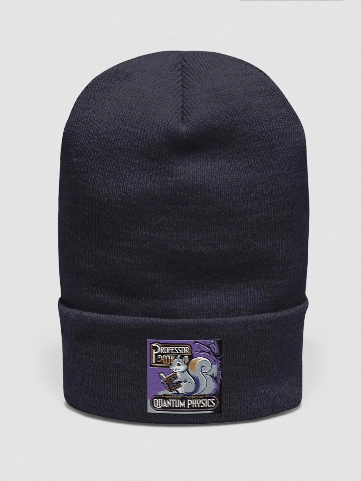 Professor Pooky Taught Me Quantum Physics Beanie product image (1)