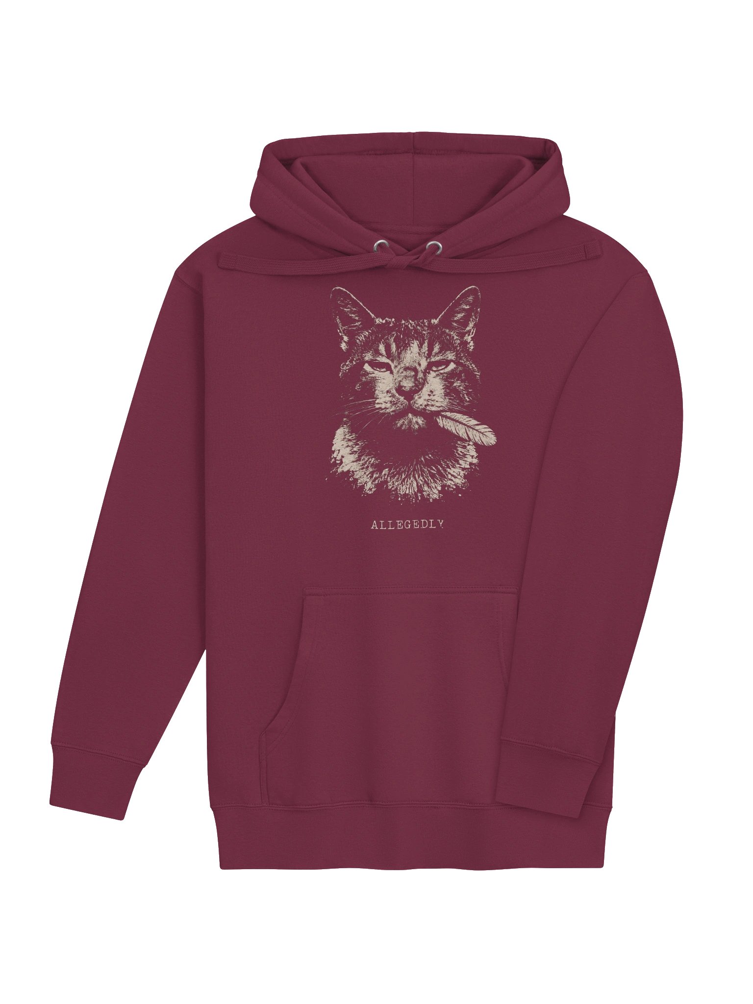 Allegedly Cat Hoodie product image (24)