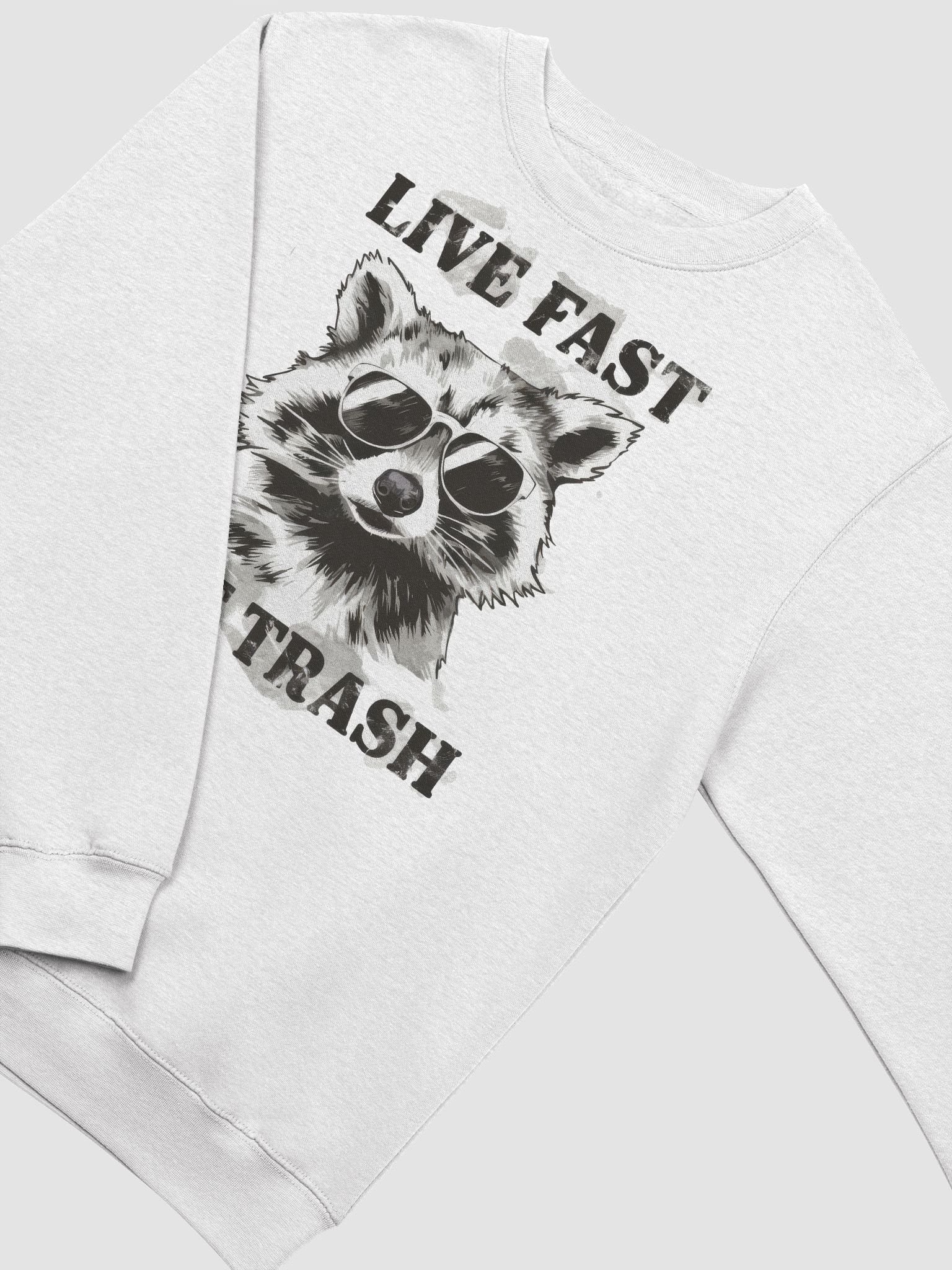 Raccoon Vibes Crewneck Sweatshirt product image (6)