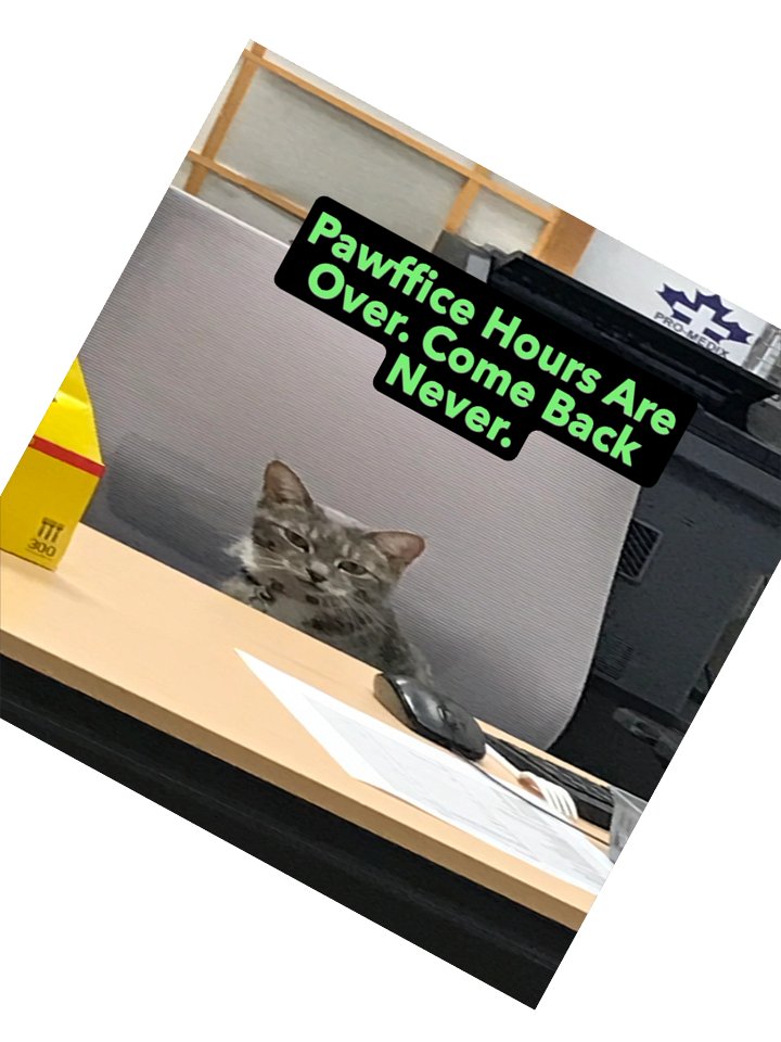 Pawffice Hours Kiss Cut Stickers product image (4)