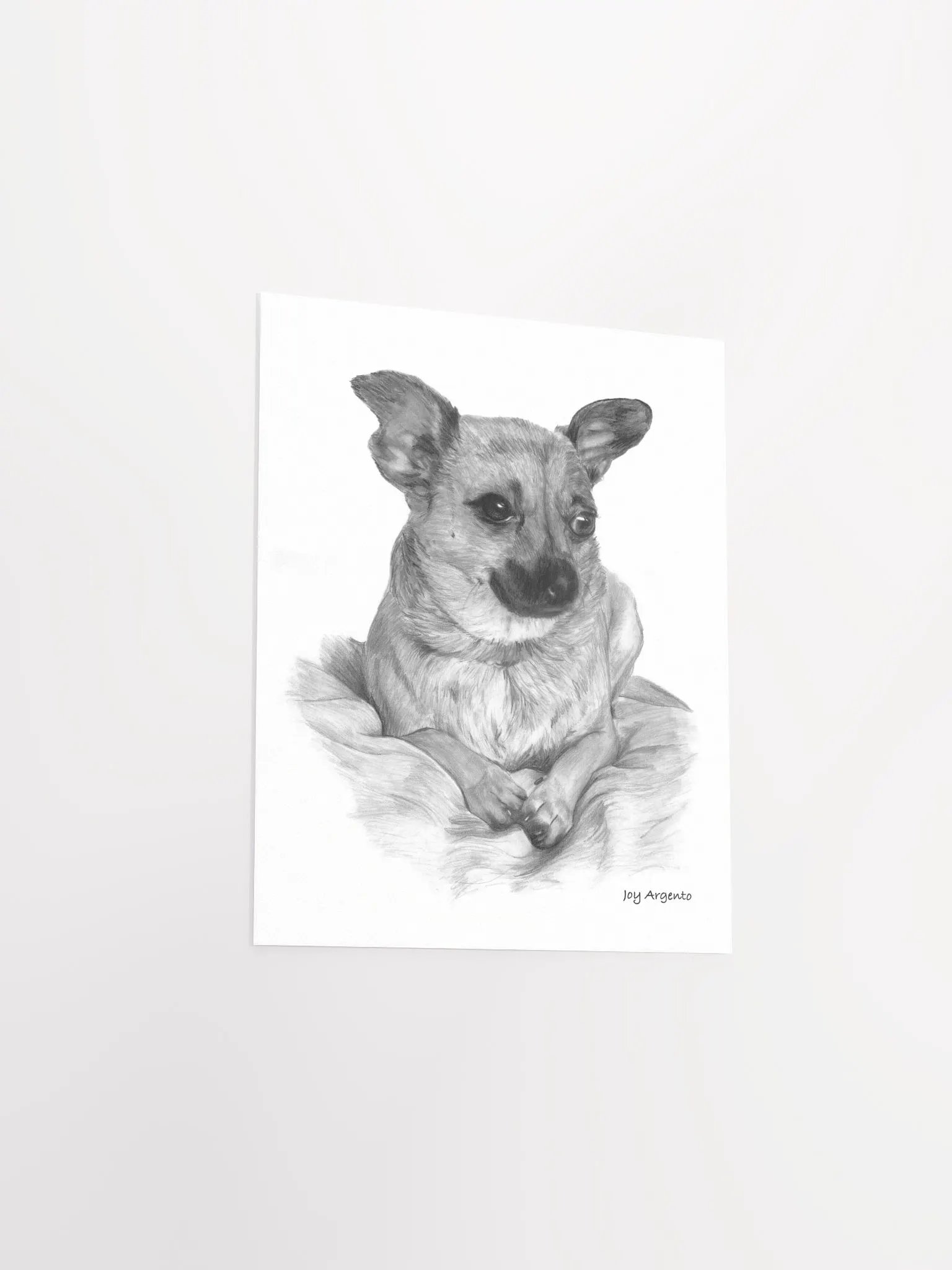 Chihuahua Print product image (6)
