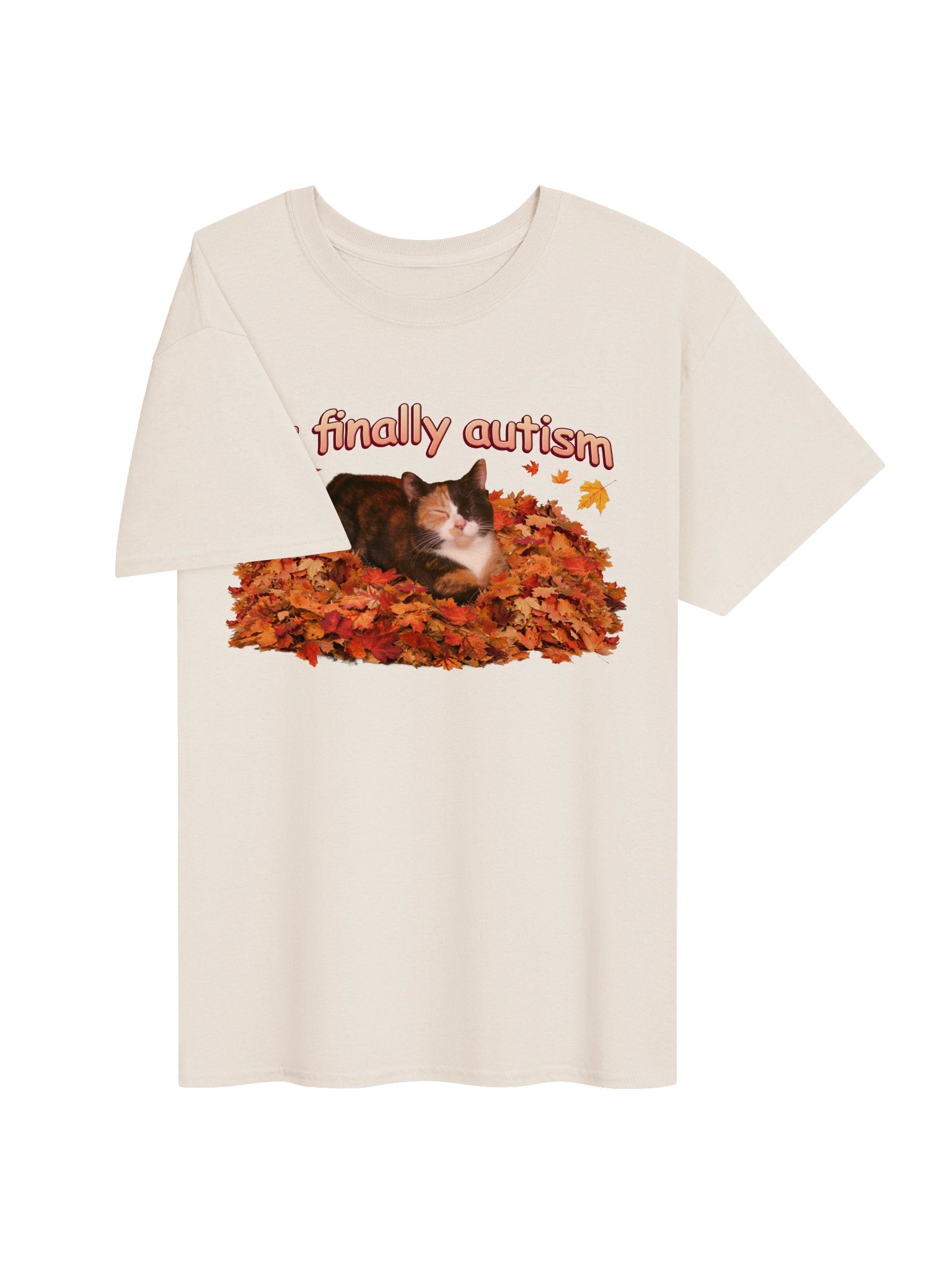 It's Finally Autism Autumn Cat T-shirt product image (3)