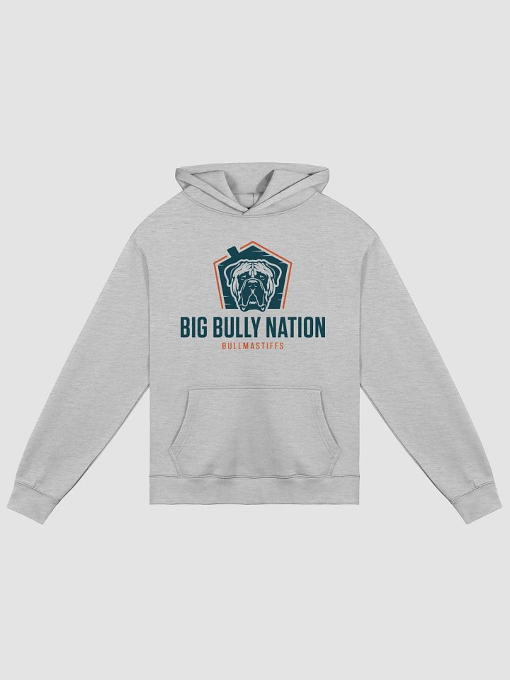 BBN Unisex Oversized Hoodie product image (1)