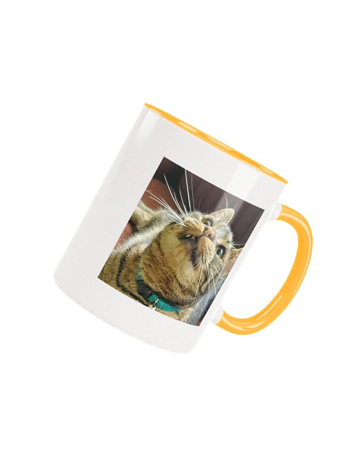 Gar Zoomy Juice Ceramic 11oz Mug 2 product image (41)