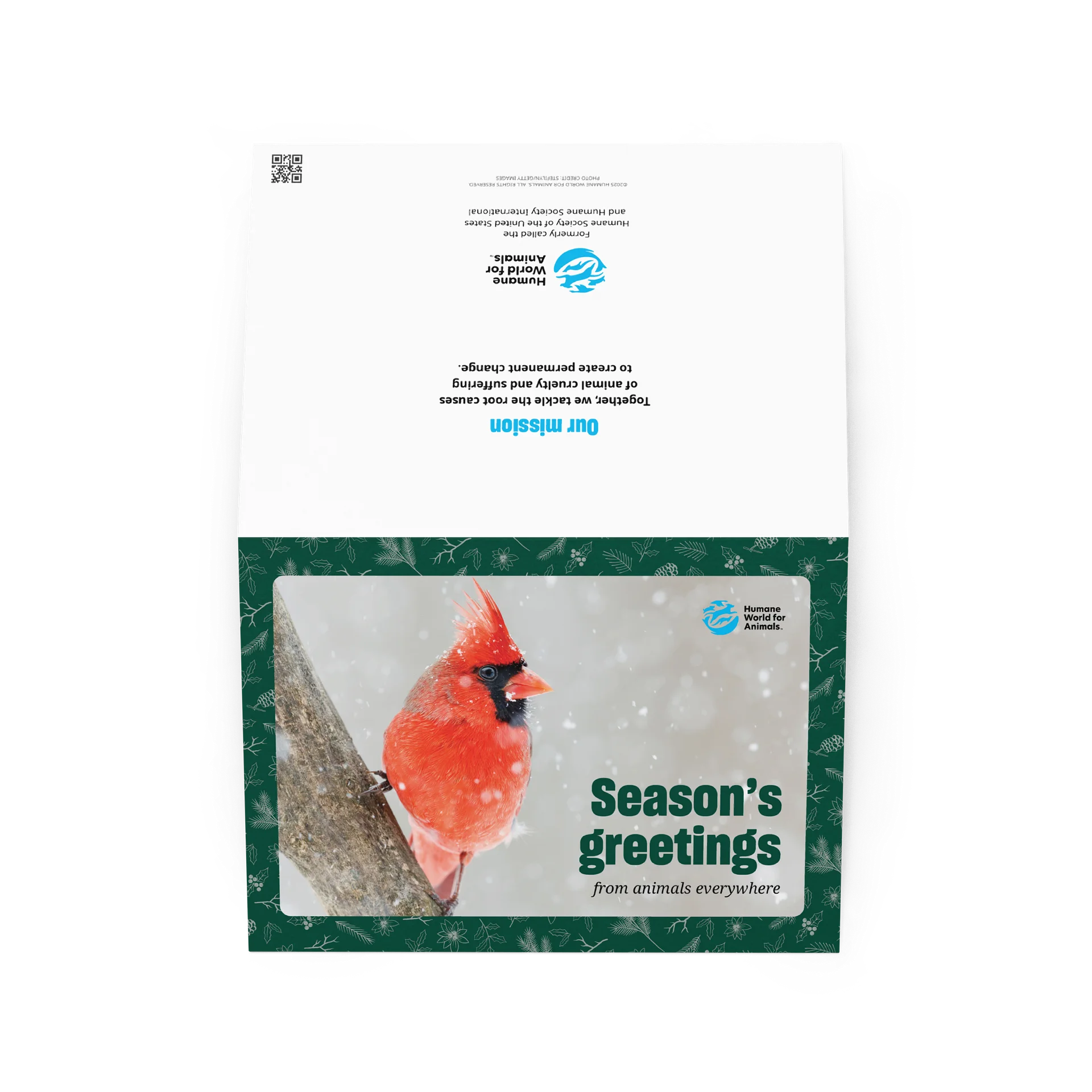 Holiday card - Bird design product image (2)