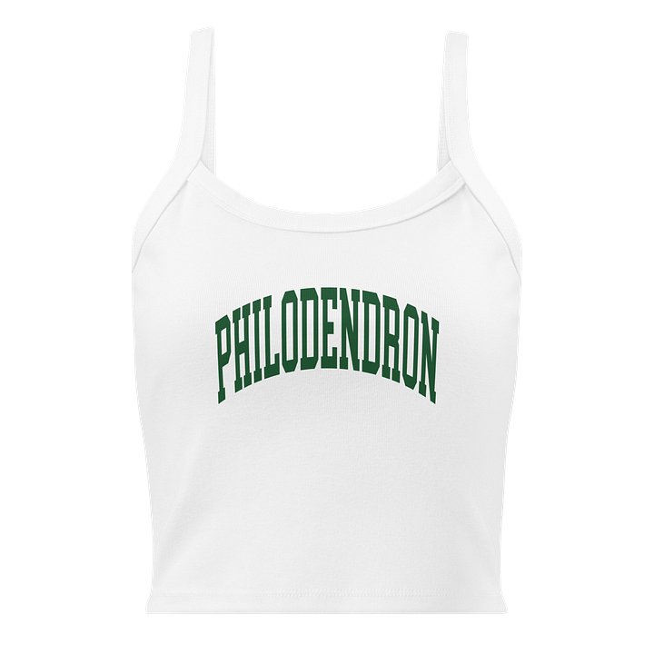 PHILODENDRON VARSITY - Mid-Length Tank product image (5)