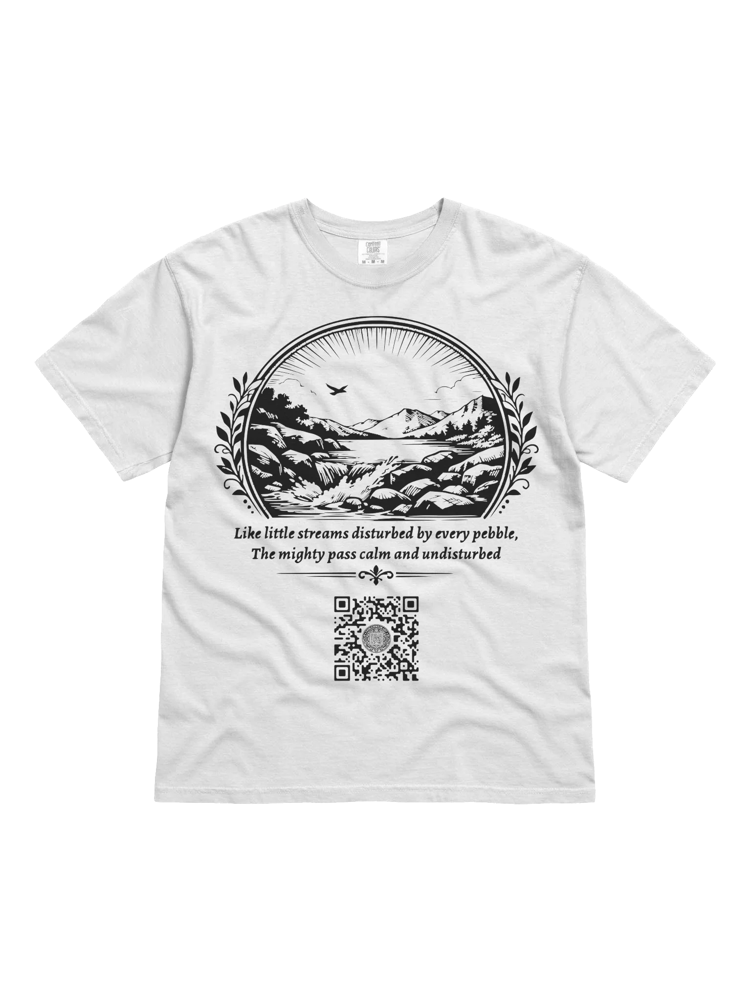 Small Disturbances product image (1)