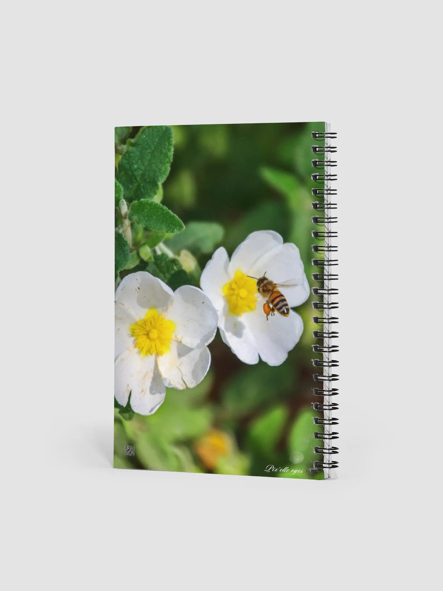 📘 Notebook Collection PURE – Jardin du Rayol – Abeille & cistes product image (2)