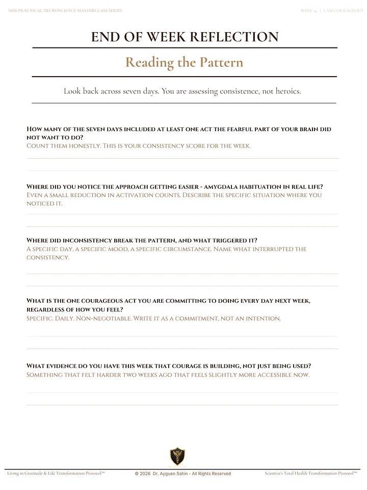 The Courage Audit product image (2)