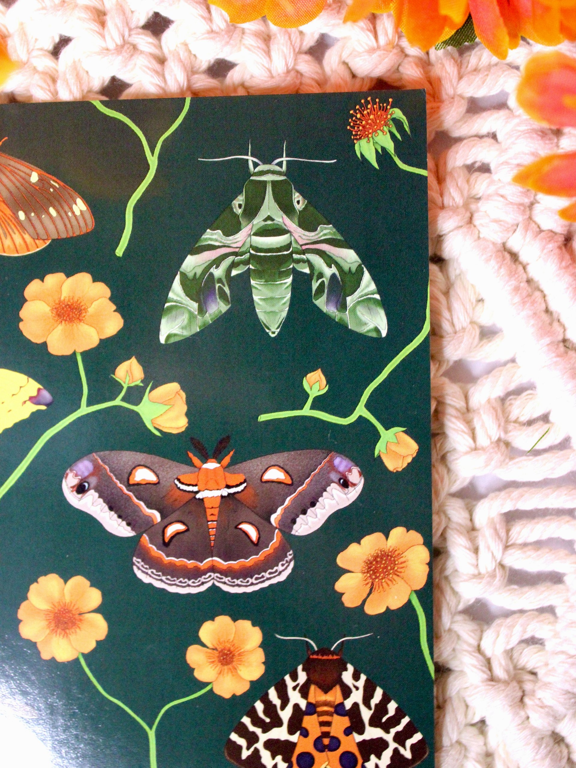 Floral Moths Print product image (3)