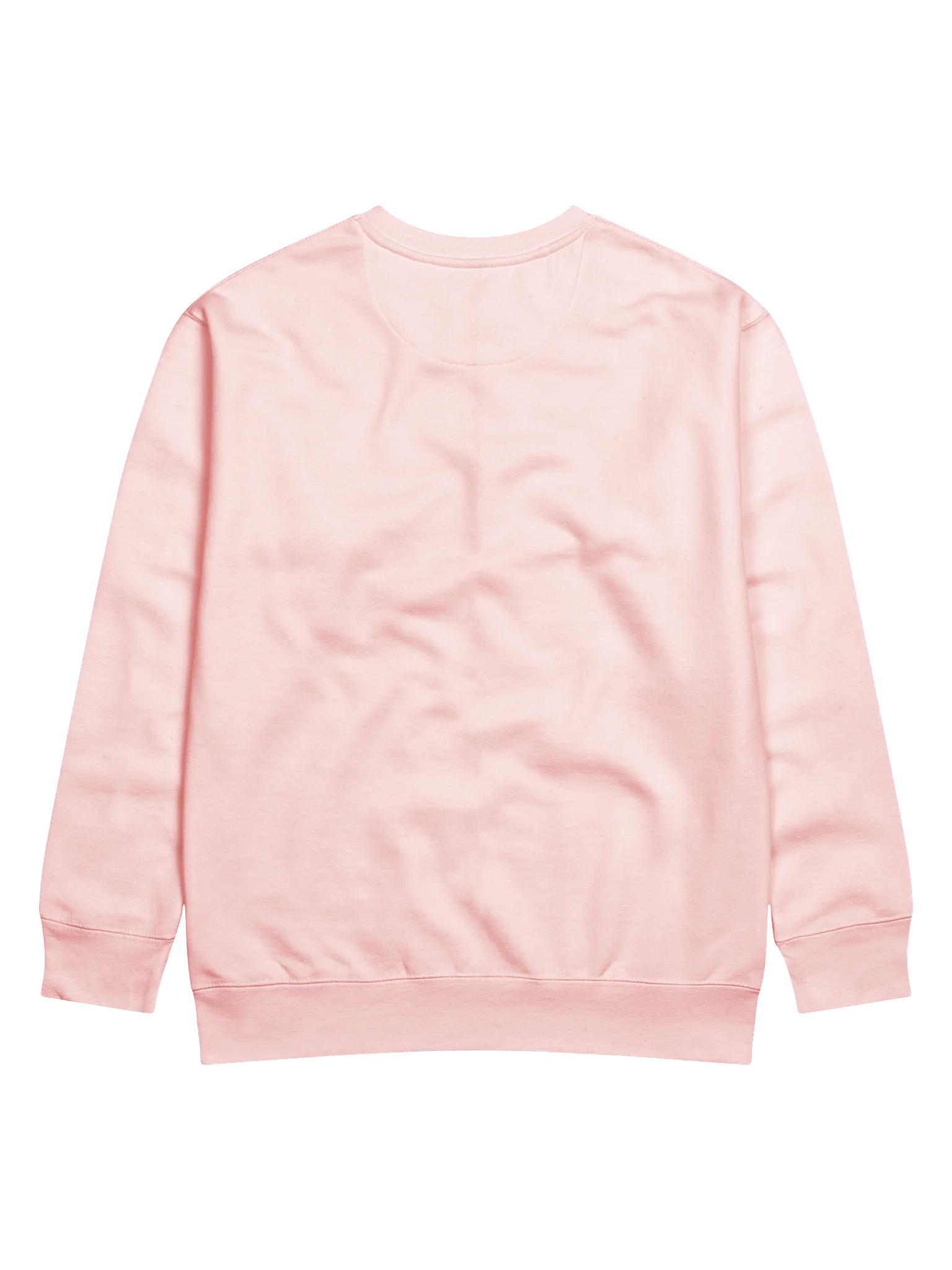 The Flamingo Heritage Sweatshirt 🦩 product image (144)