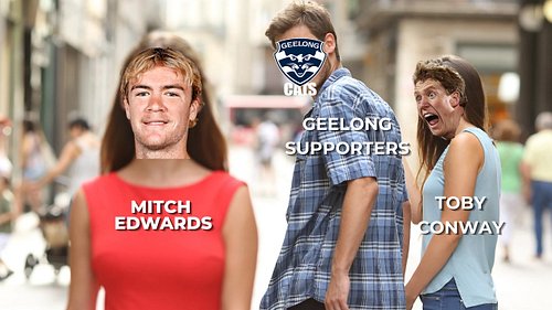 Cats supporters right now #aflcatsdockers