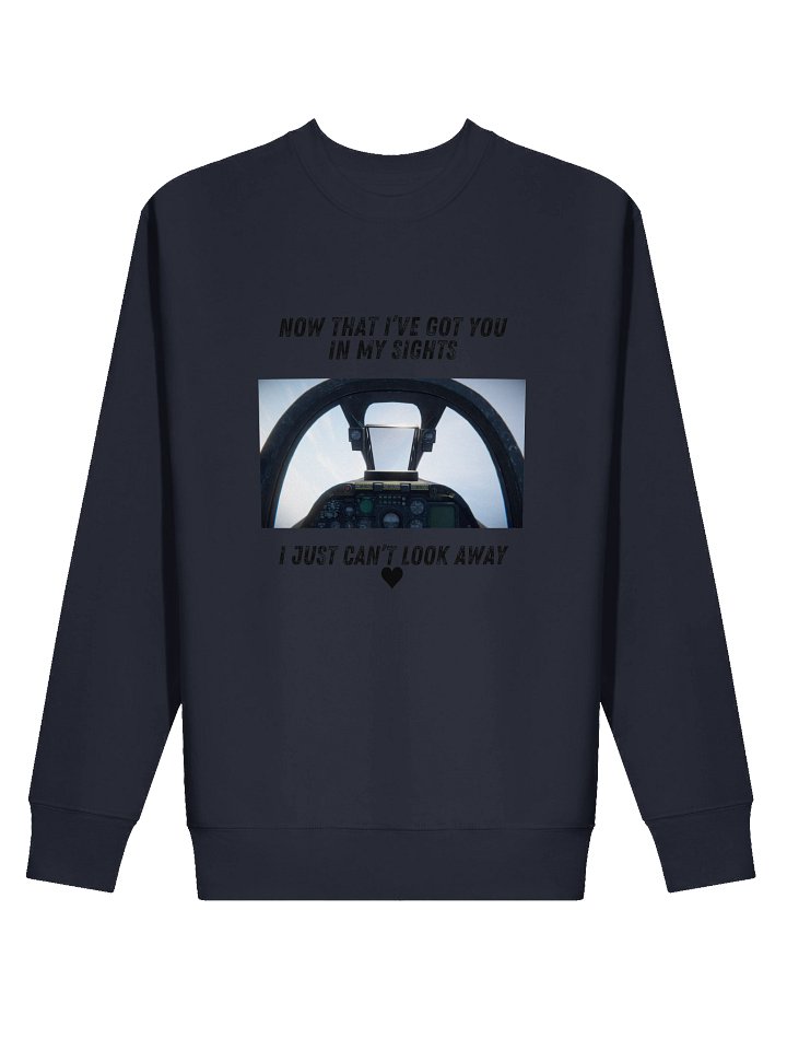 Aerial Eagle Globe Sweatshirt product image (9)