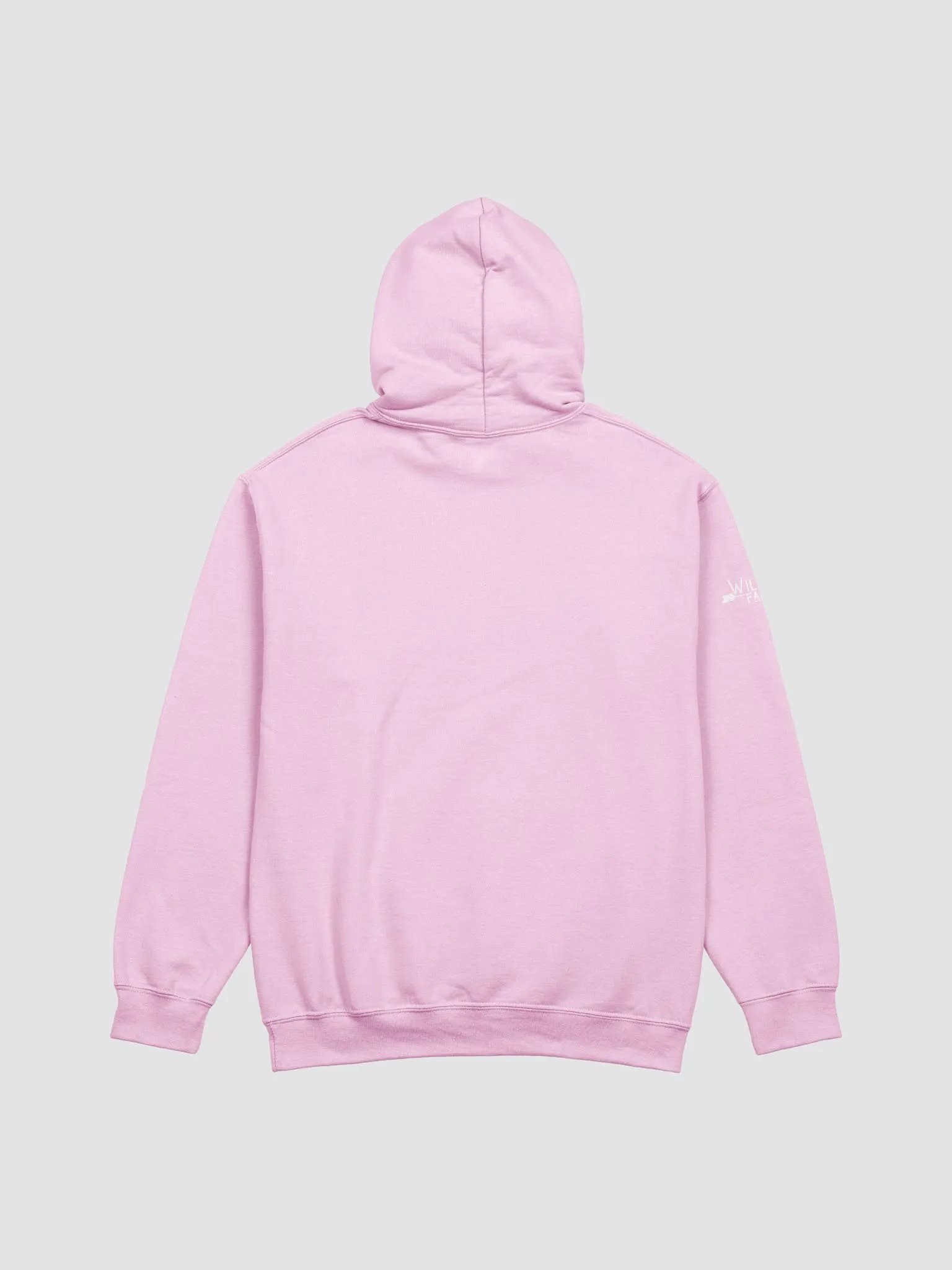 Schenectady Breast Cancer Awareness Hoodie product image (3)