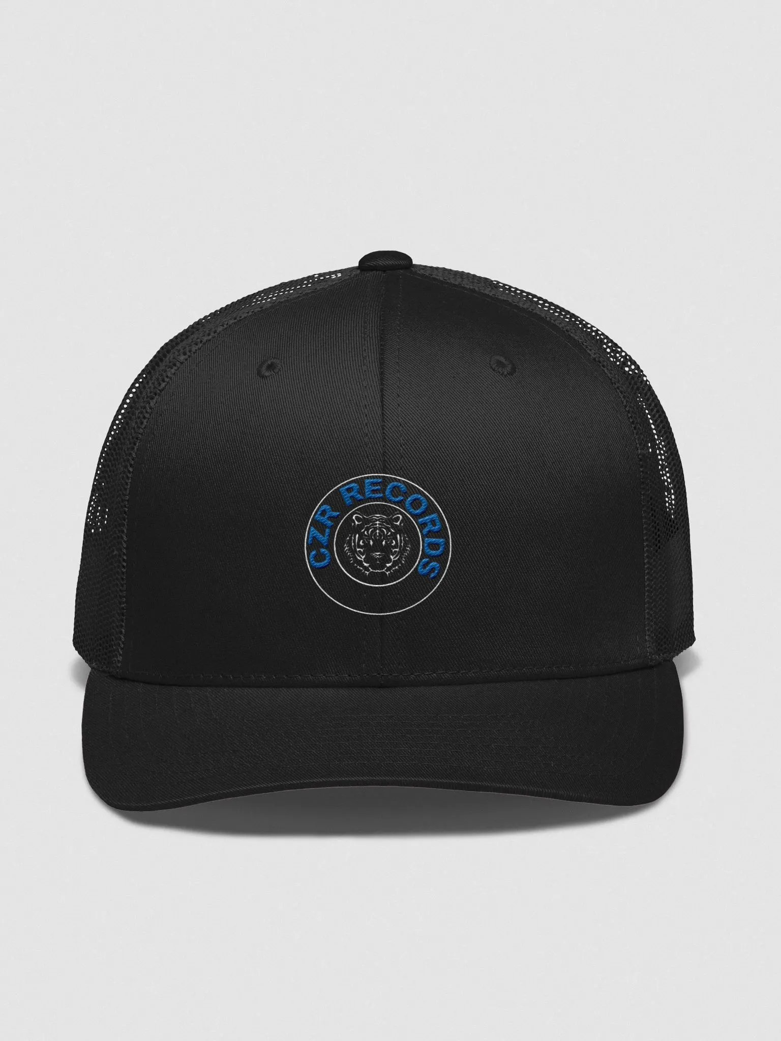 Tiger Circle Blue Font Dad Hat product image (1)