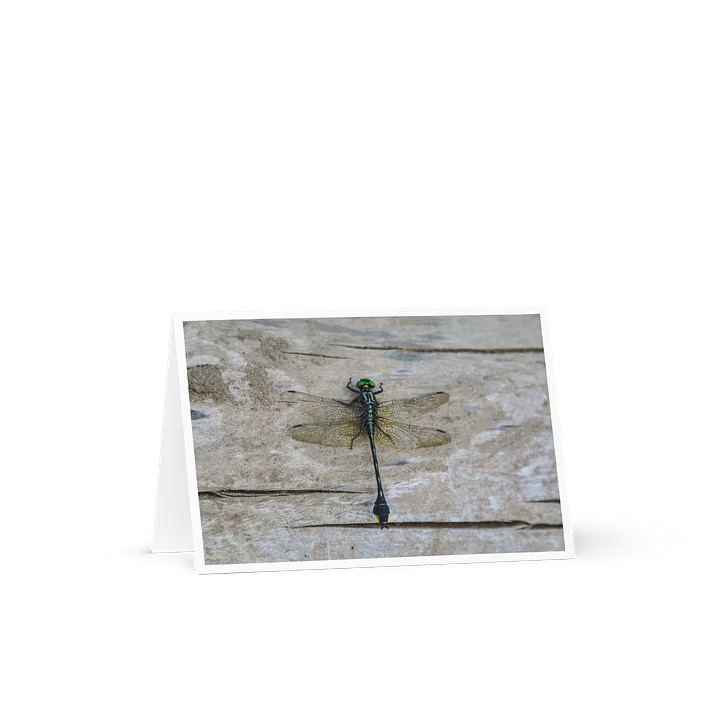 Dragonfly - Greeting Card product image (1)