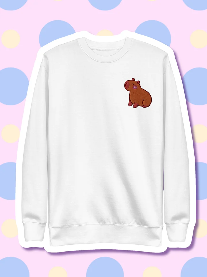 Cute Capybara Embroidered Premium Sweatshirt product image (2)