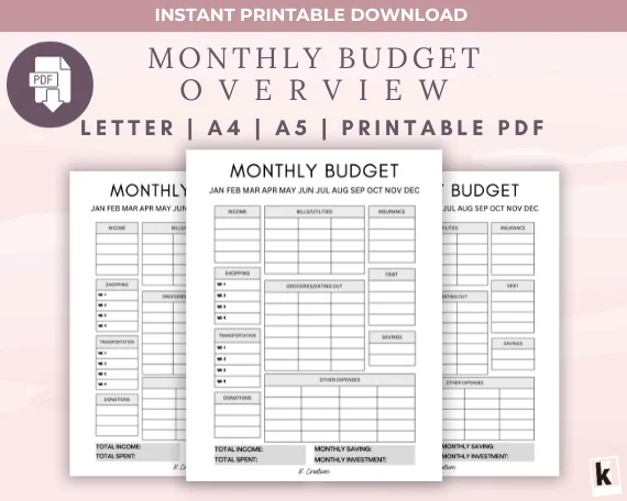 Monthly Finance Printable to Simplify Your Budget, PDF Instant Download Expense Tracker for Monthly Budget Planner, A4 A5 Letter product image (1)