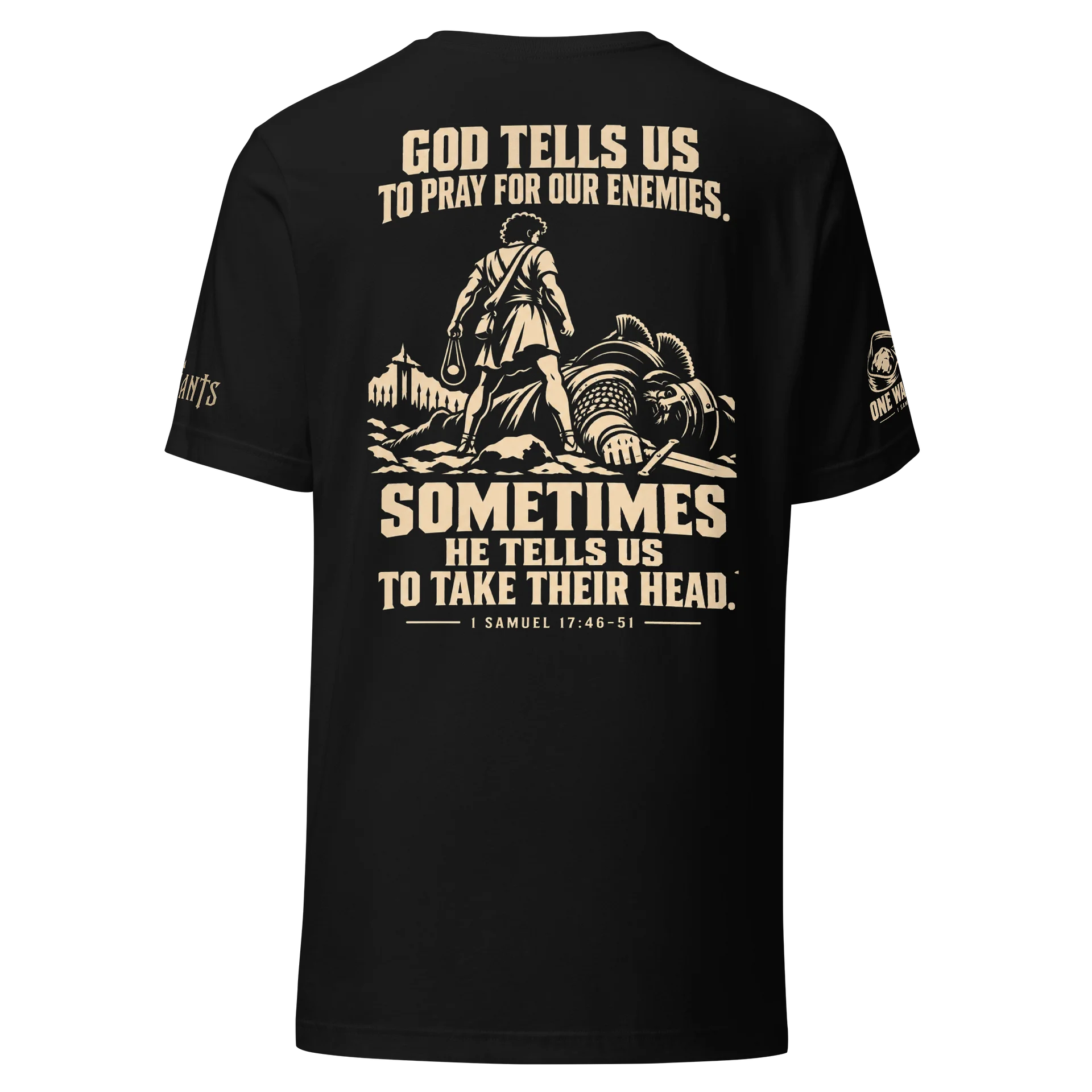 David And Goliath product image (2)