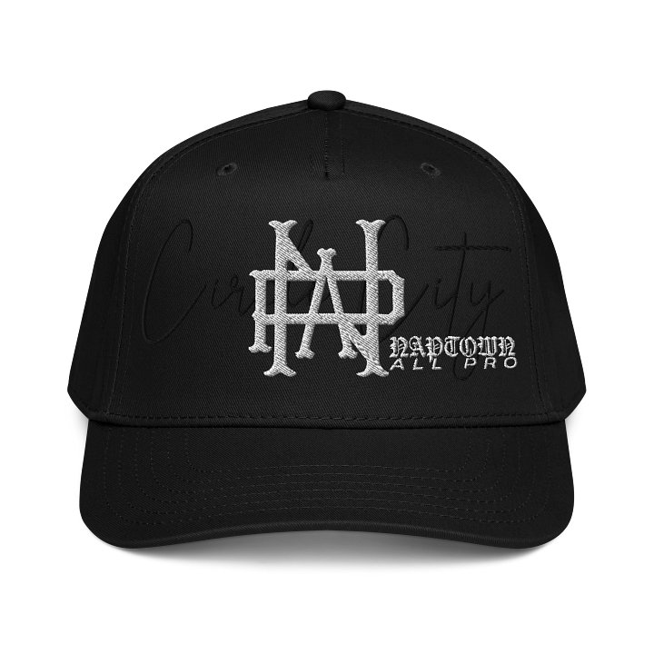 NAP Staple Hat product image (1)
