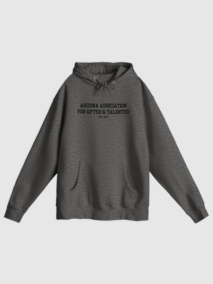 Collegiate AAGT Hoodie (Dark Text) product image (1)