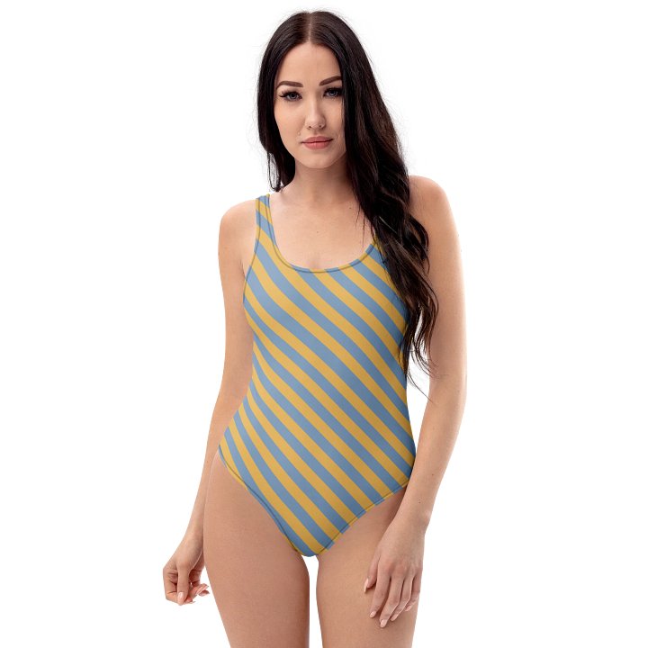 Skylarka's Bodysuit (One Piece Swimsuit) product image (1)
