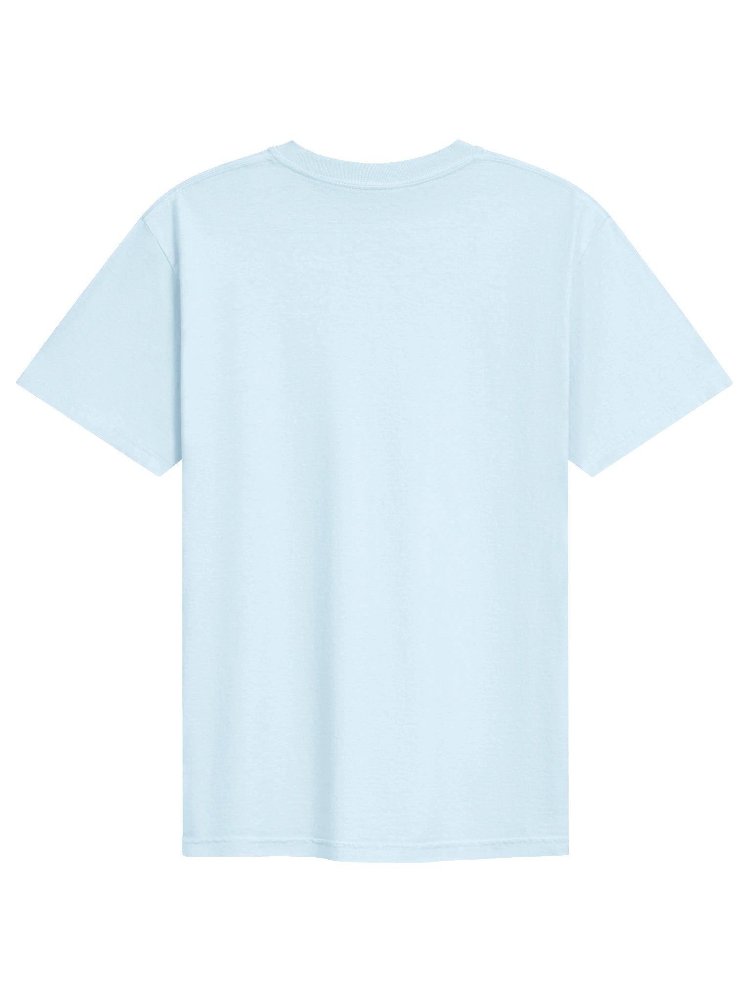 Abdul El-Sayed Senate Michigan Election Tee, Progressive Democratic Socialist Comfort Colors Shirt, Midterm Election 26 product image (34)