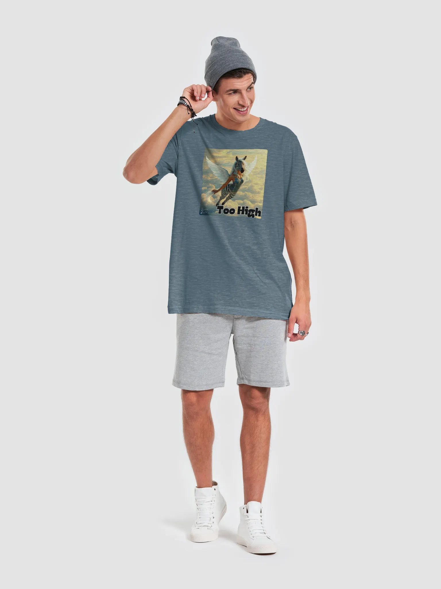 Too High - Flying Zebra Damsel product image (4)