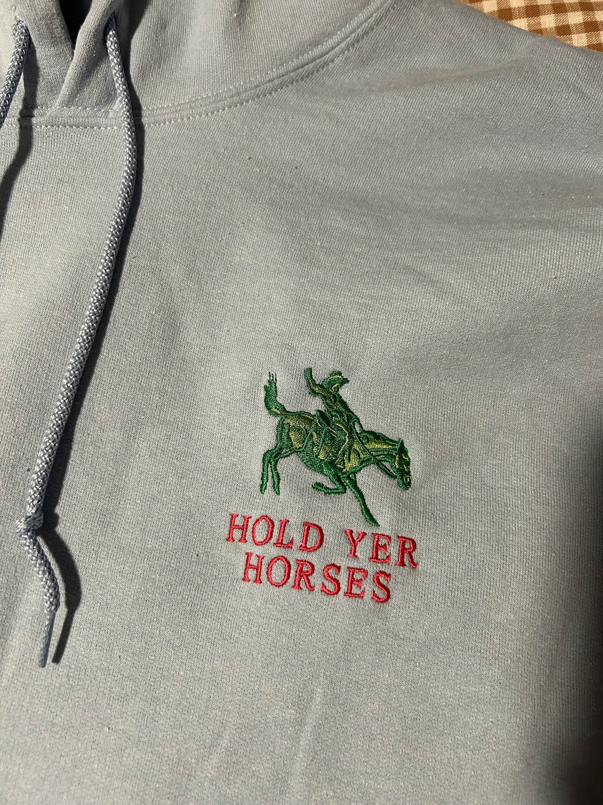 hold yer horses embroidered hoodie product image (2)