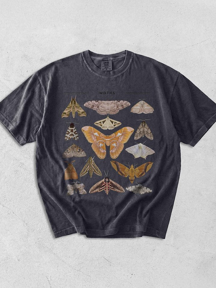 Vintage Moth Illustration Shirt – Dark Academia Insect Collage Tee, Gothic Nature Graphic product image (1)