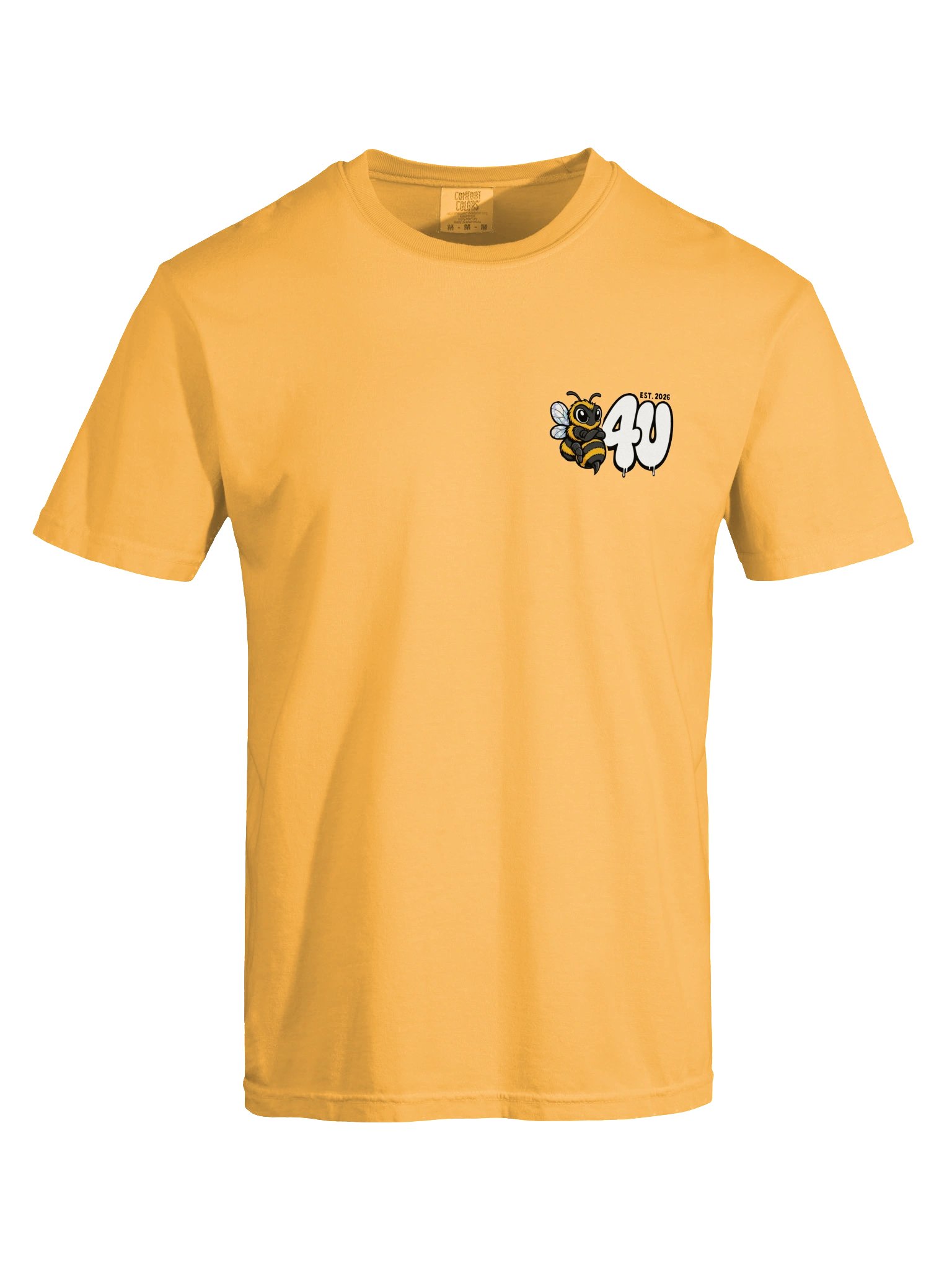TRY BEFORE YOU QUIT Graphic Tee product image (5)